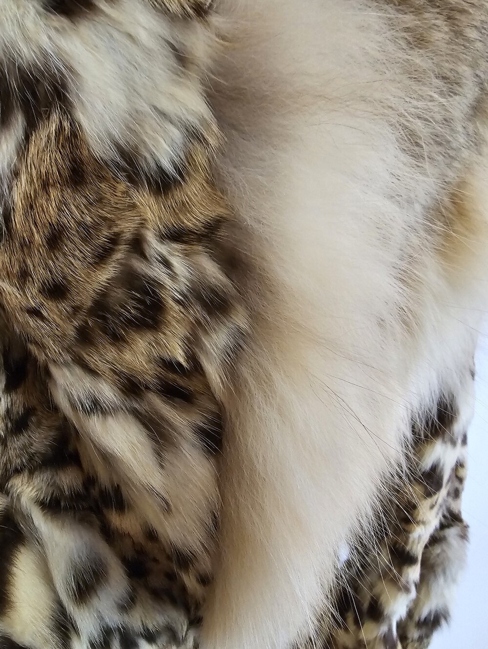 Vintage Robinson's Genuine Wild Fur & Fox Collar Coat | M.J. Monogram Mcm - Picture 6 of 15